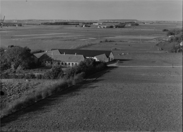 Haugård 1953